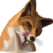 Звонов Михаил Андреевич Звонов Михаил Андреевич