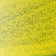 Калиниченко Евгений Анатольевич