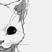 Митропольская София Алексеевна Митропольская София Алексеевна