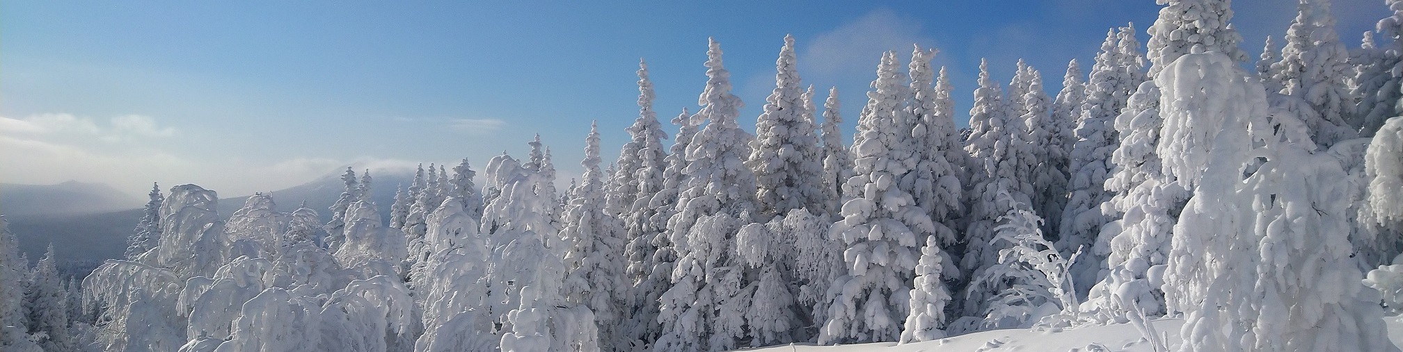 Обложка профиля