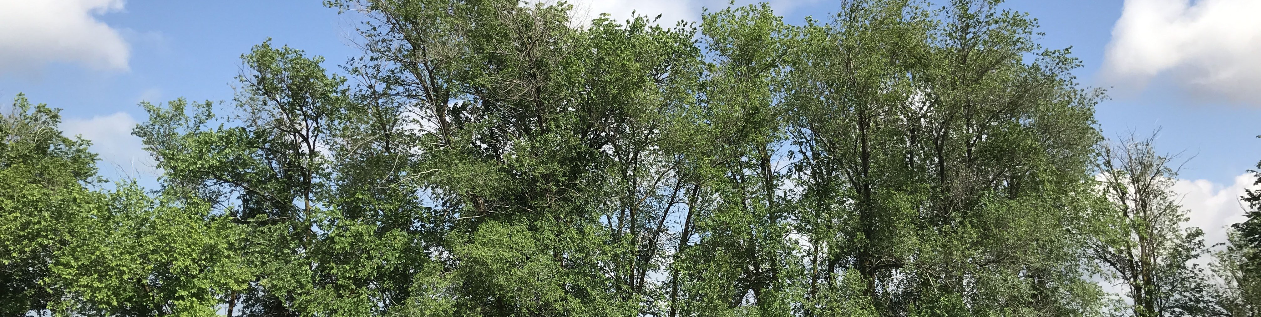 Обложка профиля