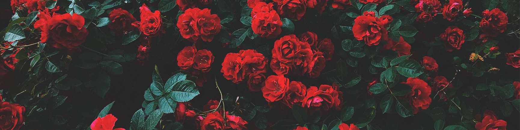 Обложка профиля