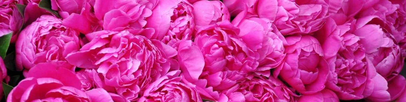 Обложка профиля